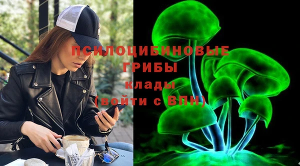 спиды Белокуриха