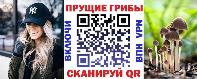 Галлюциногенные грибы GOLDEN TEACHER  Боготол 